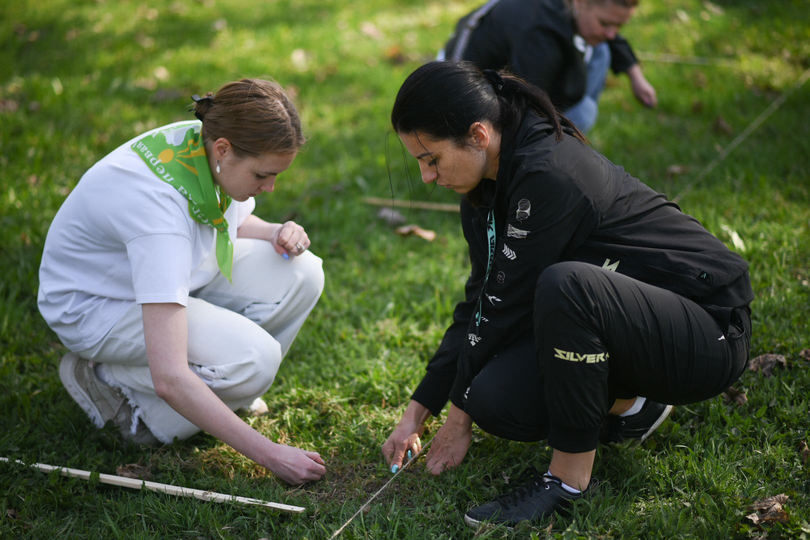 Бронницы, деревья, юбилей
