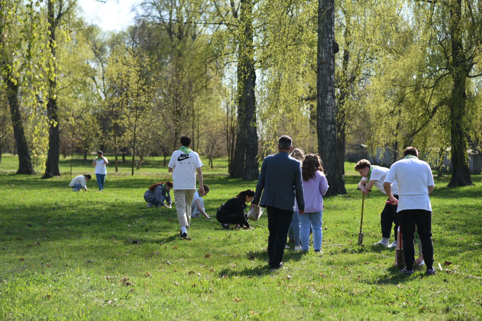 Бронницы, деревья, юбилей