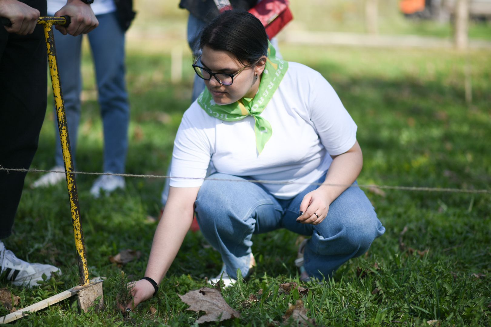 Бронницы, деревья, юбилей