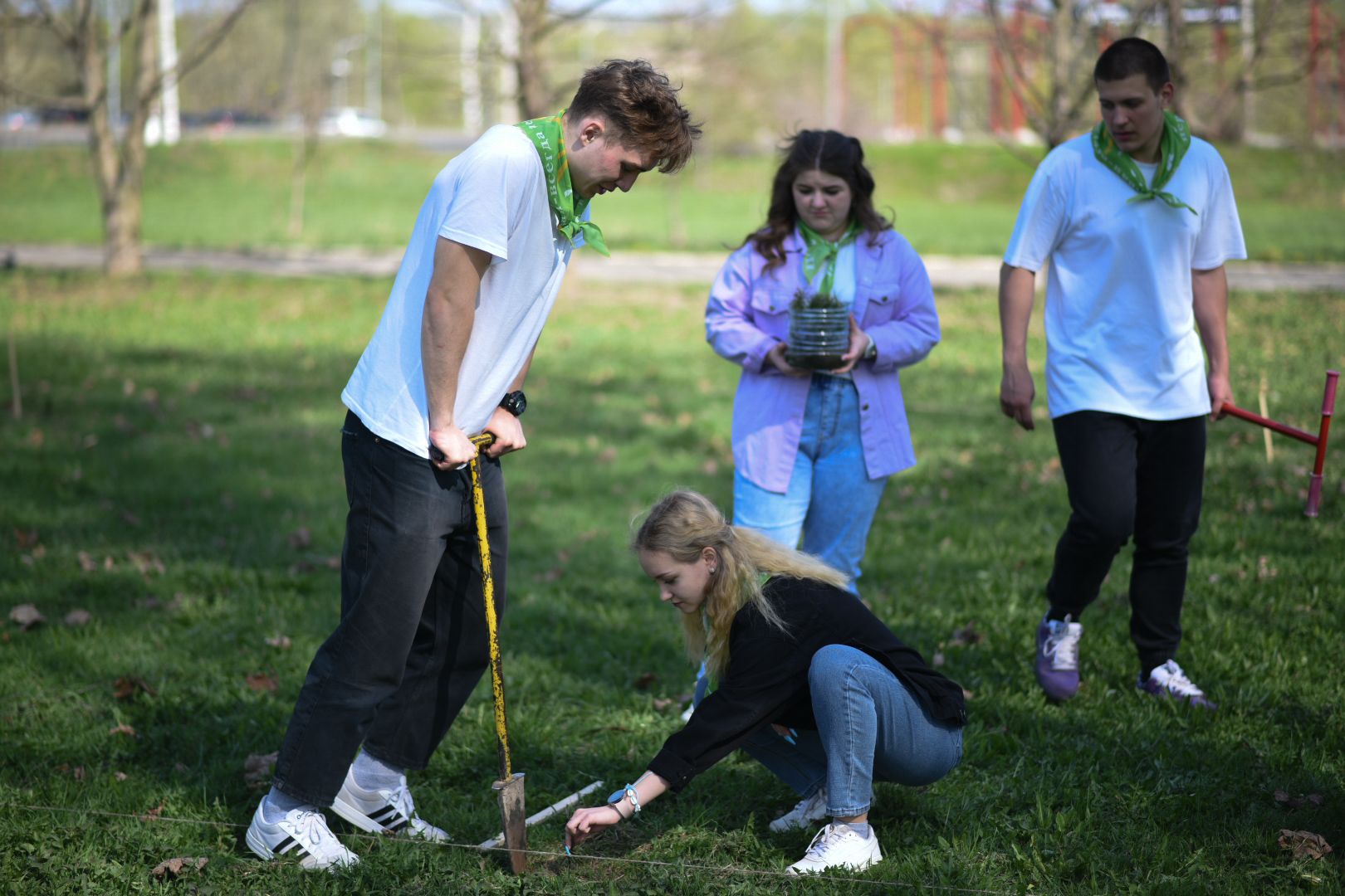 Бронницы, деревья, юбилей