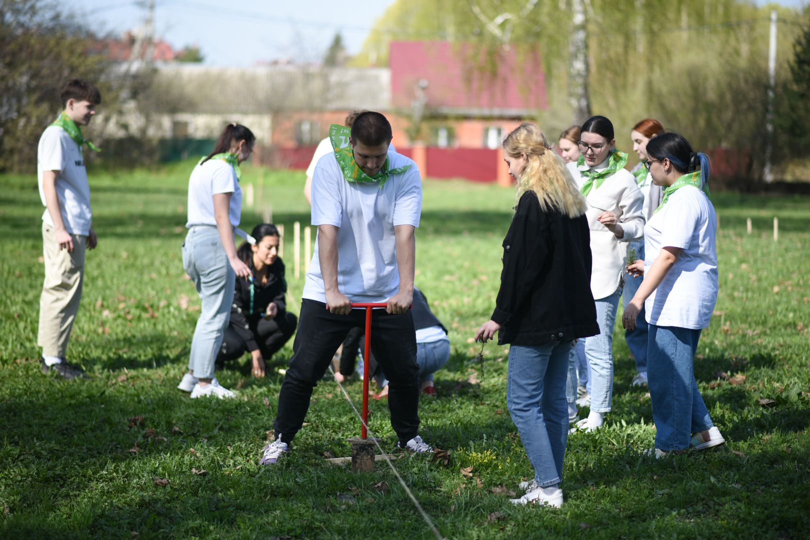 Бронницы, деревья, юбилей