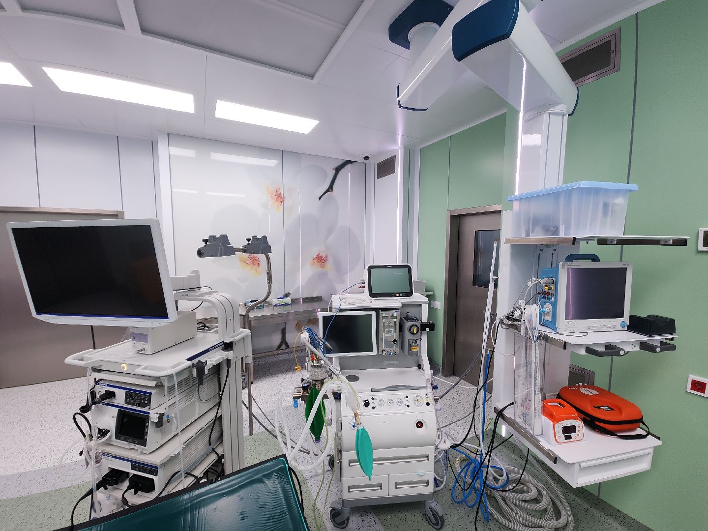 вертикалки, рошаль, эндоскопическое отделение, врач,красногорск,