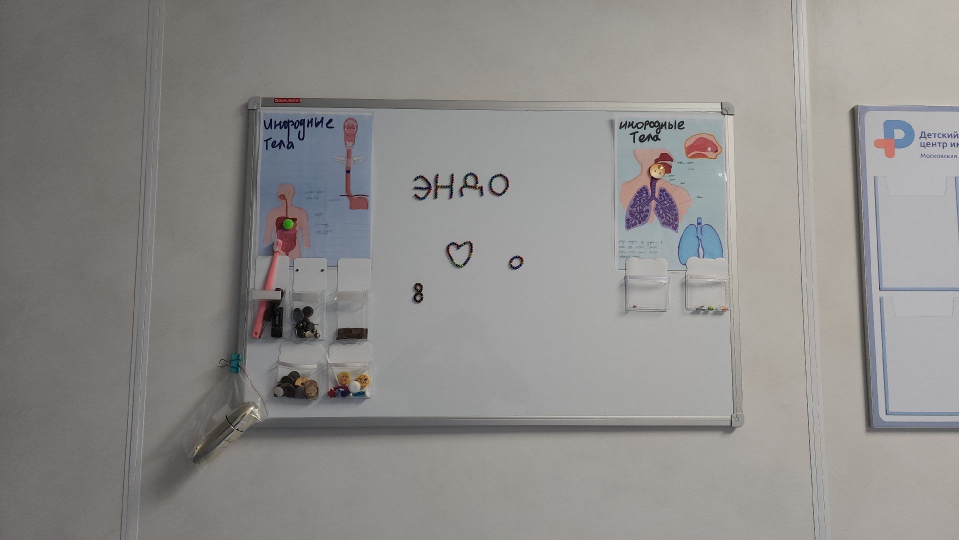 вертикалки, рошаль, эндоскопическое отделение, врач,красногорск,