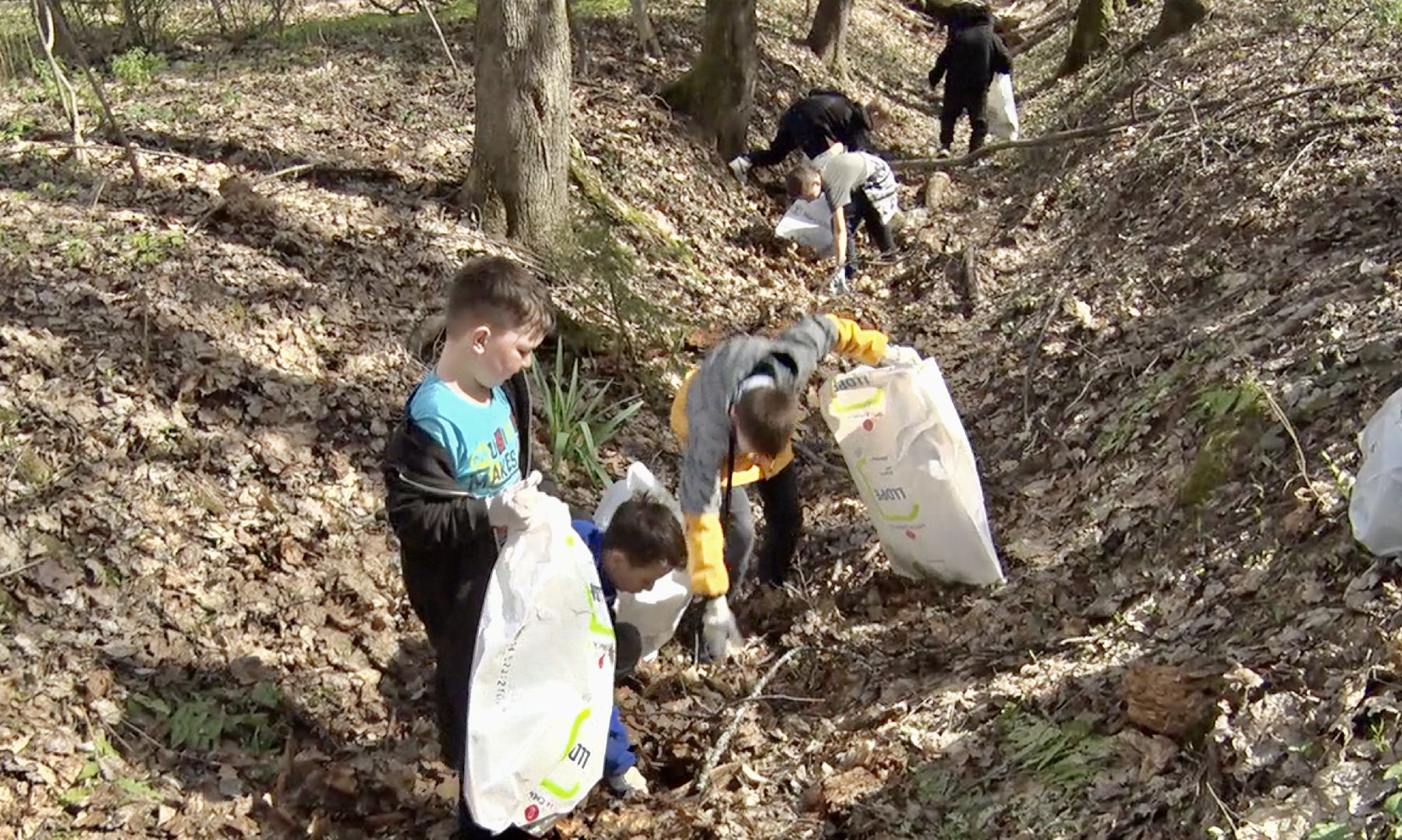 Клин, благоустройство, субботник, люди, месяц чистоты