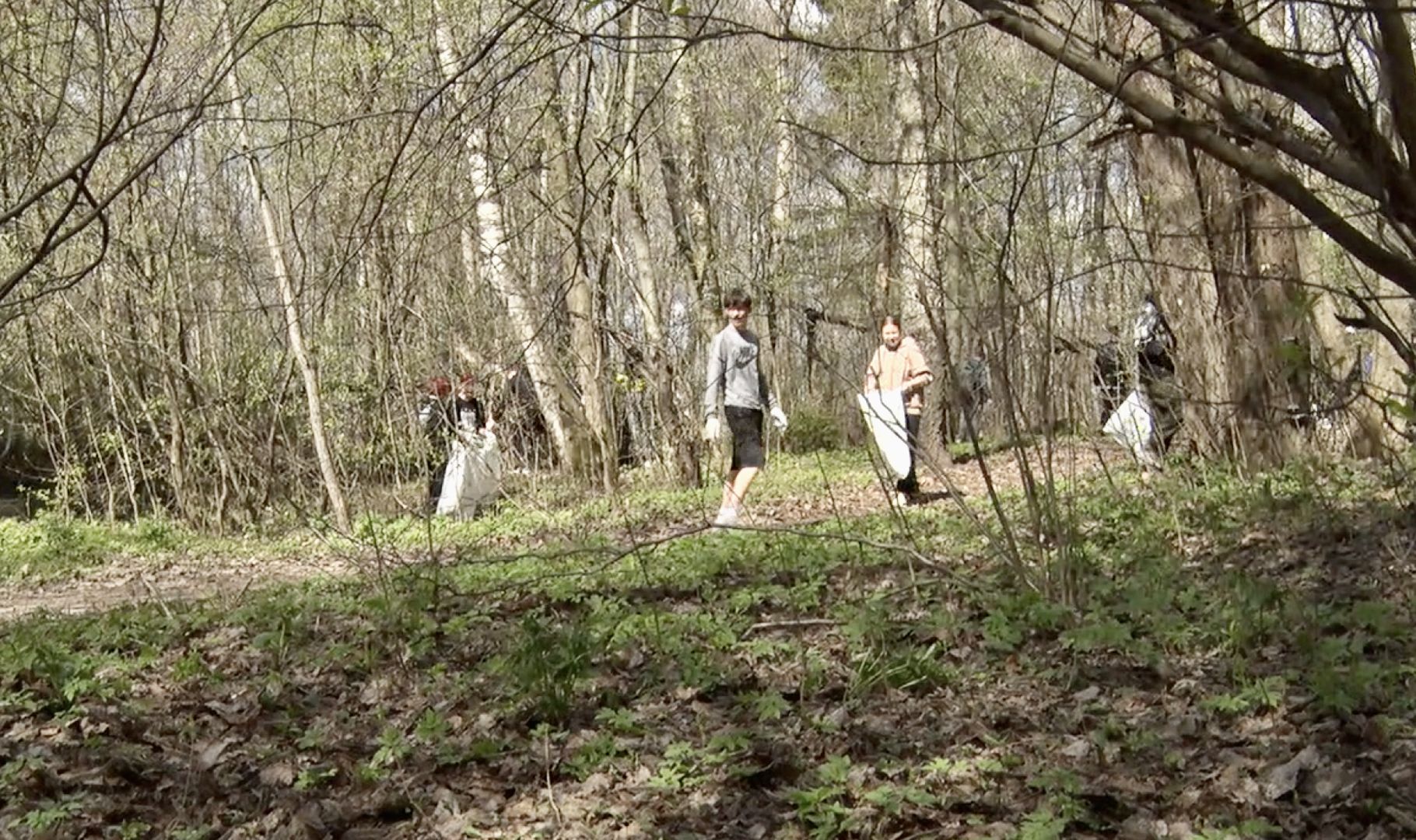 Клин, благоустройство, субботник, люди, месяц чистоты