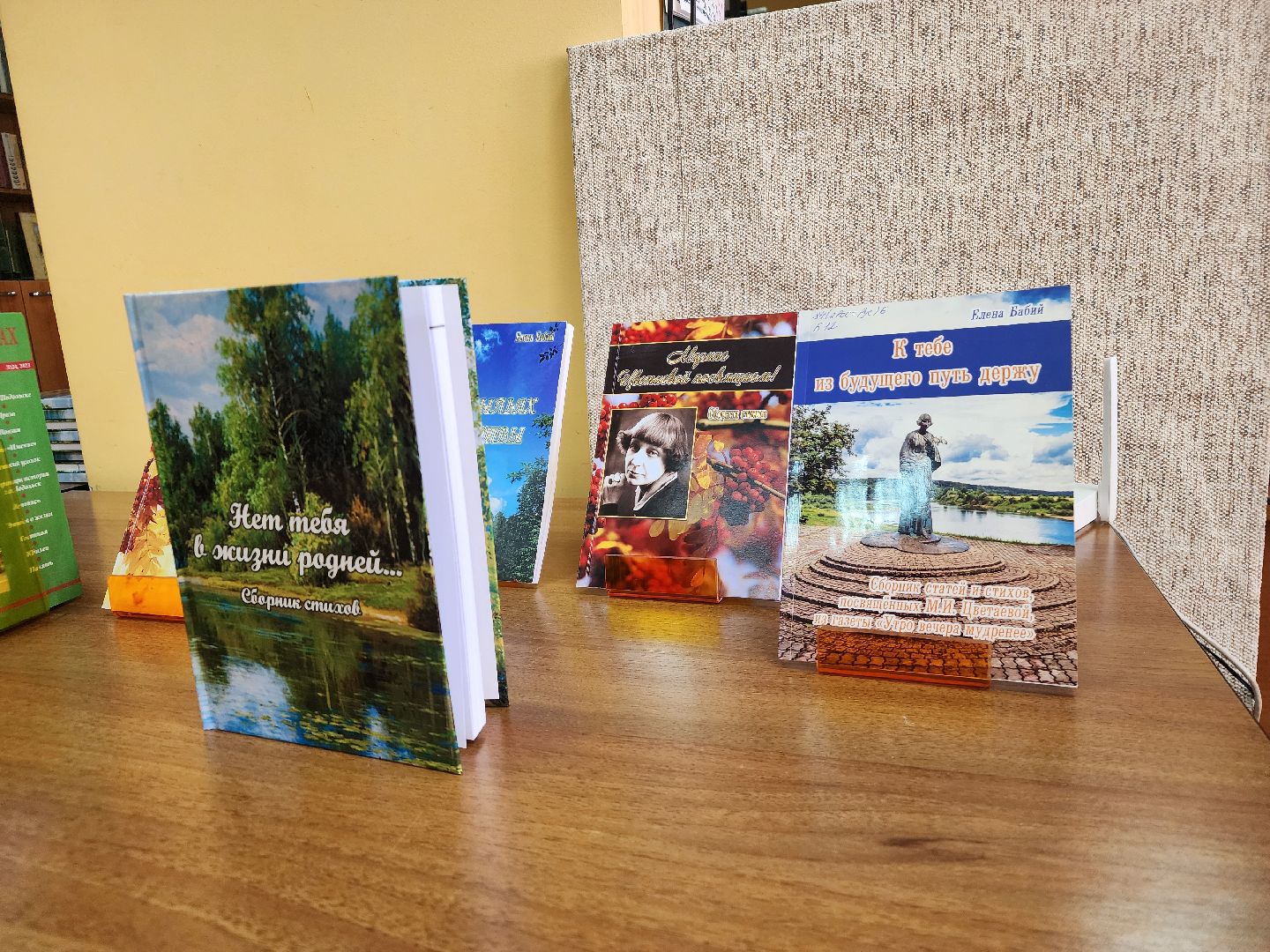 подольск, поэт, вертикалки,