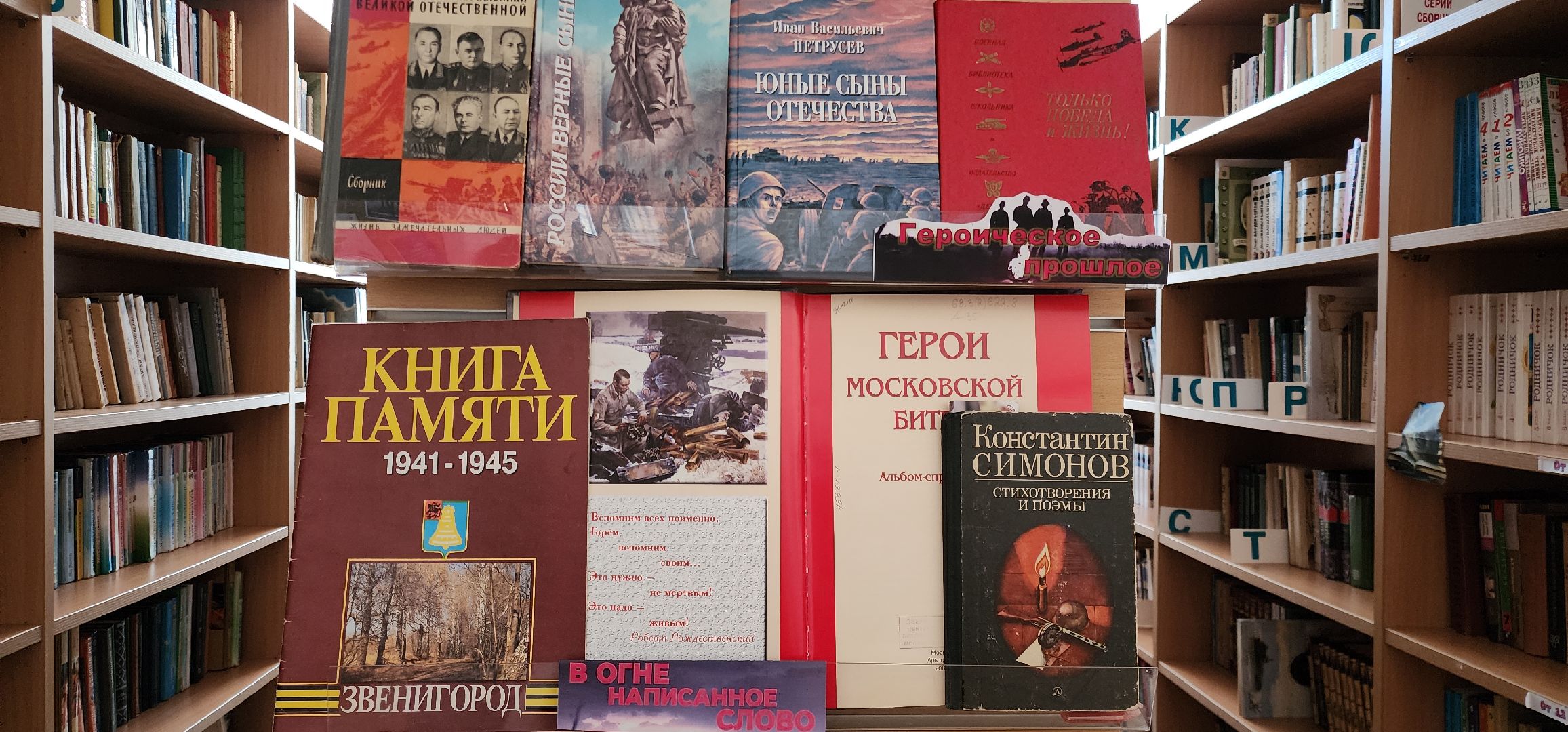 вертикалки, 80-летие победы в великой отечественной войне, общество, культура подмосковья,