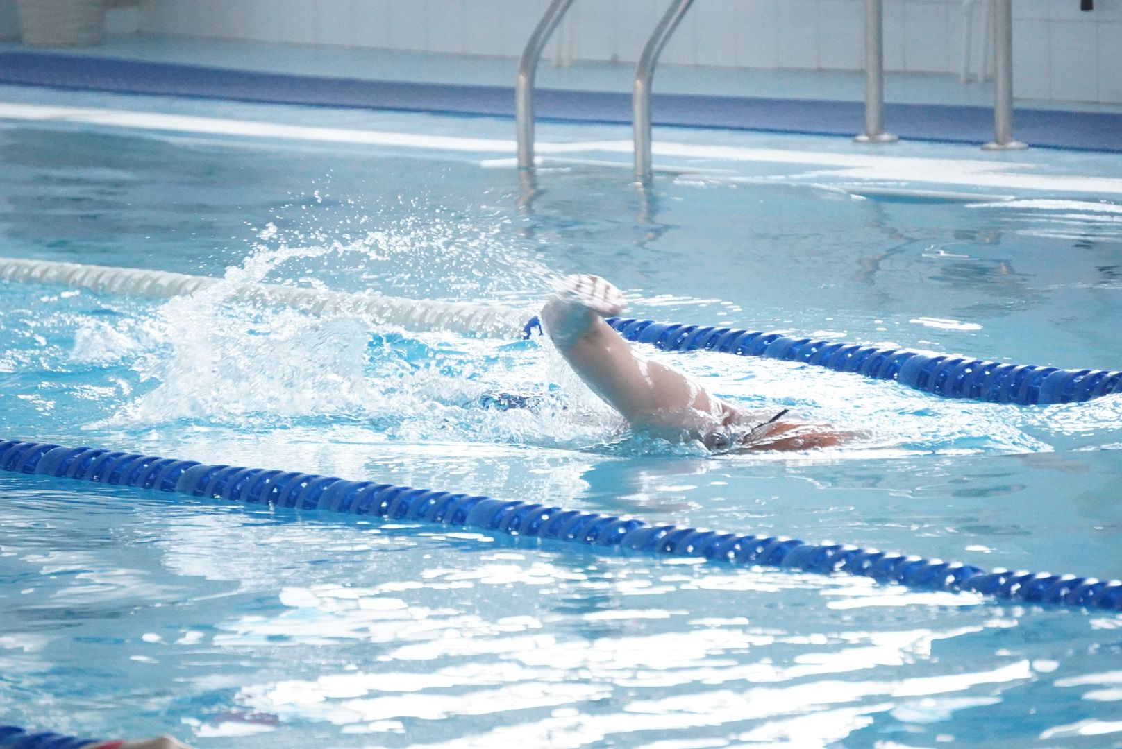 вертикалки, павловский посад, спорт,