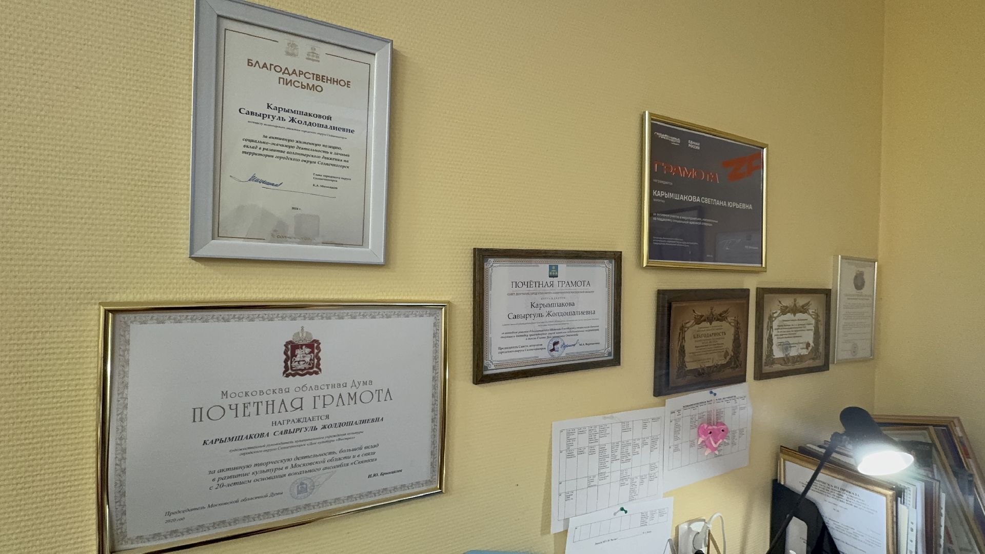 солнечногорск, награда, медаль, гуманитарная помощь, вертикалки,