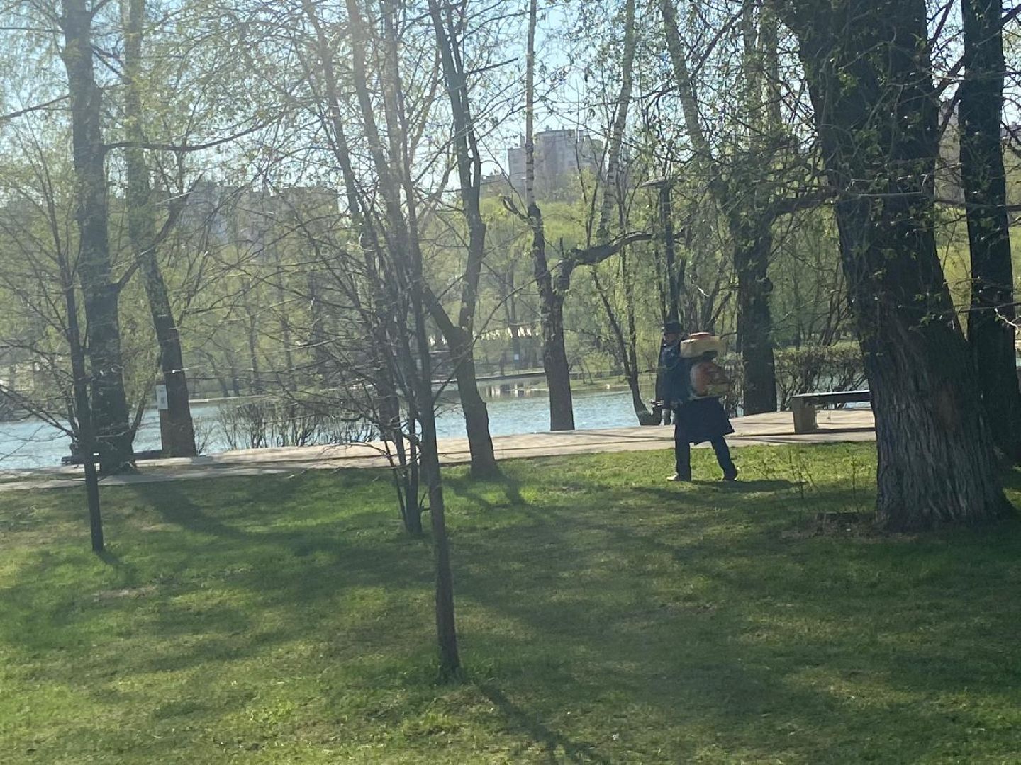 Реутов, парк, вода, Фабричный пруд, обработка, клещи