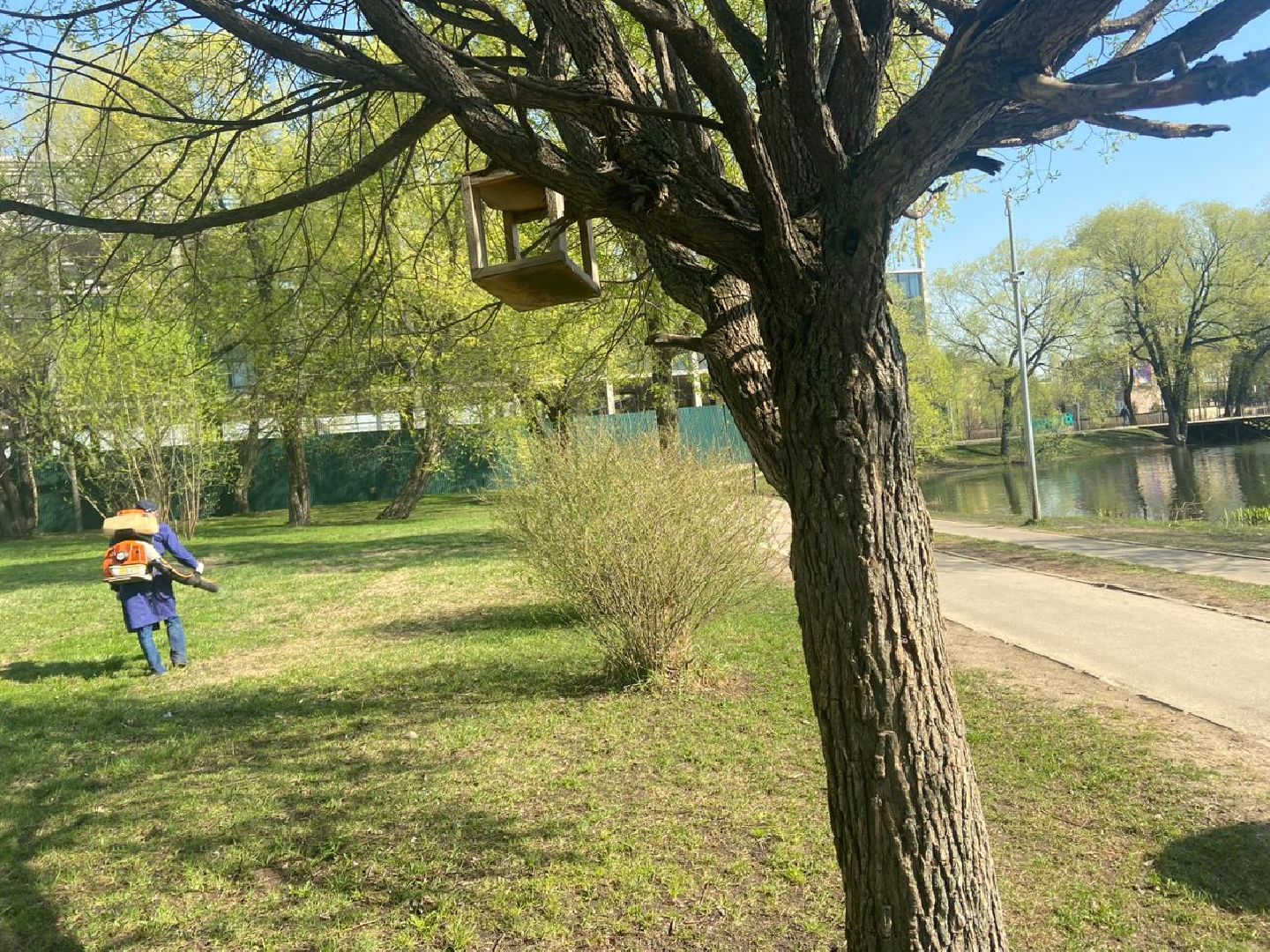 Реутов, парк, вода, Фабричный пруд, обработка, клещи