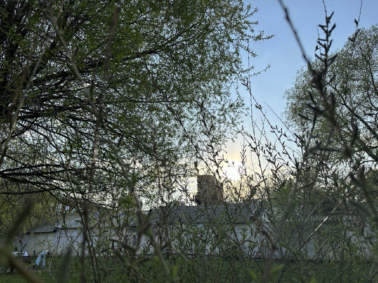 Реутов, парк, вода, Фабричный пруд, обработка, клещи