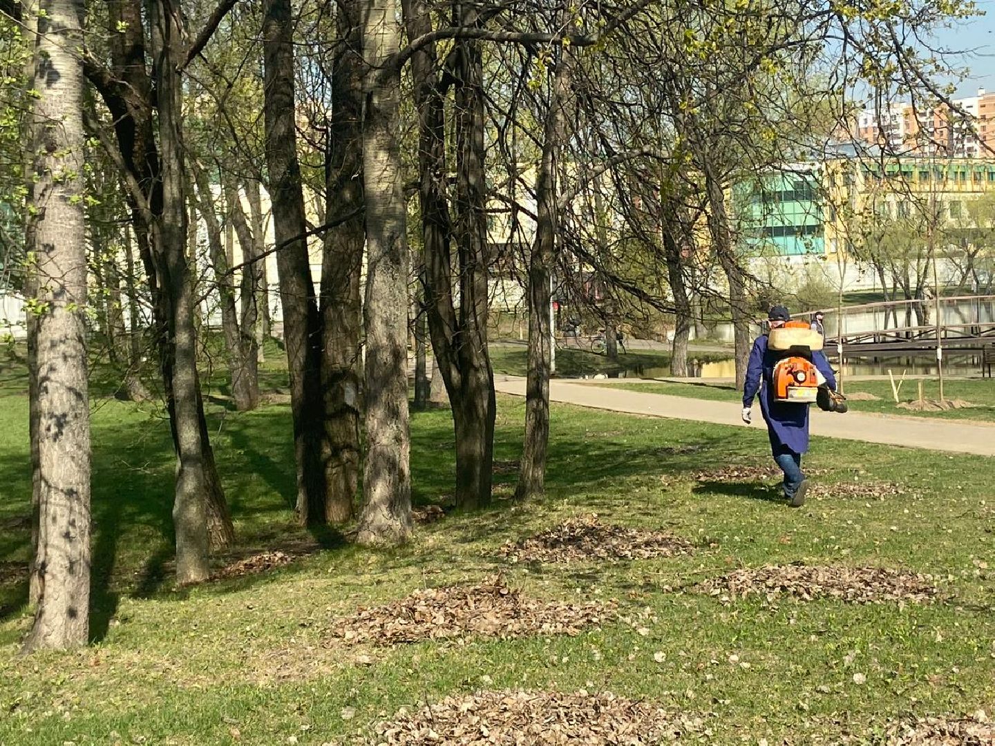 Реутов, парк, вода, Фабричный пруд, обработка, клещи