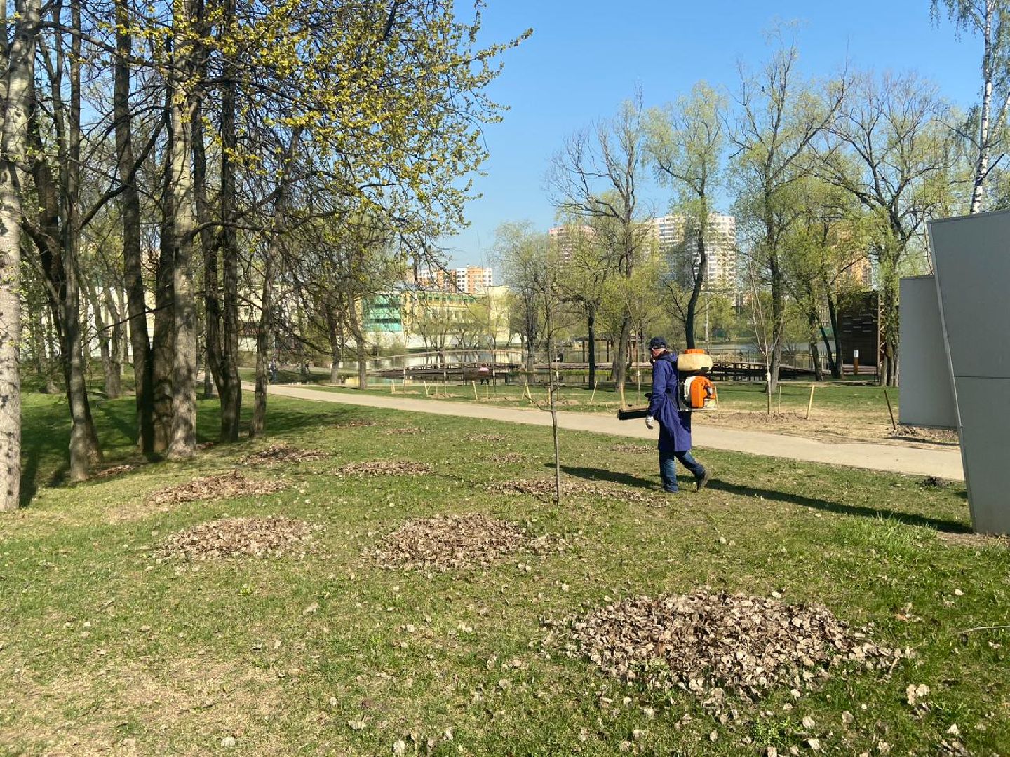 Реутов, парк, вода, Фабричный пруд, обработка, клещи