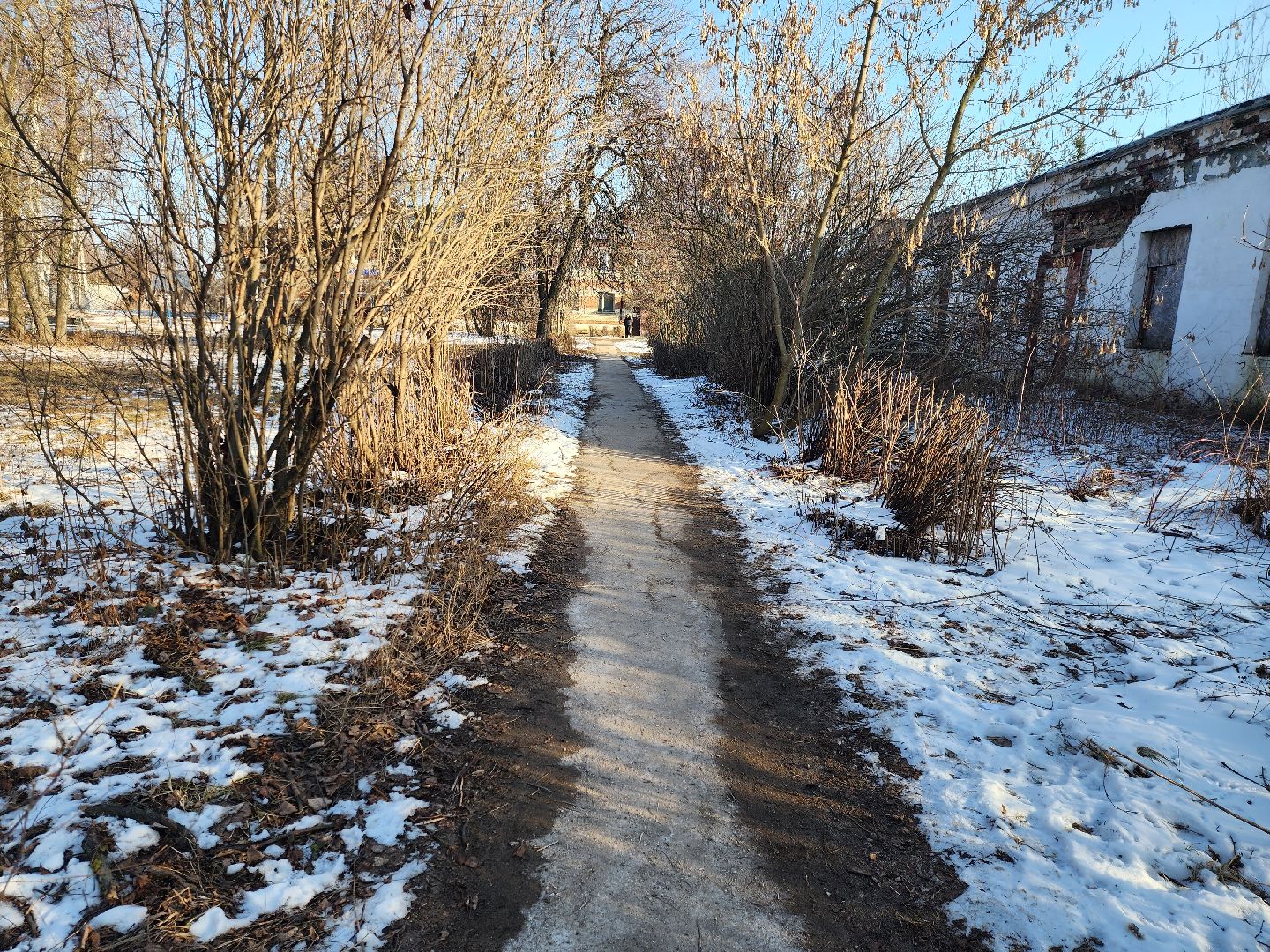 Луховицы, Фруктовая, Григорьевское, народные тропы, вертикалки