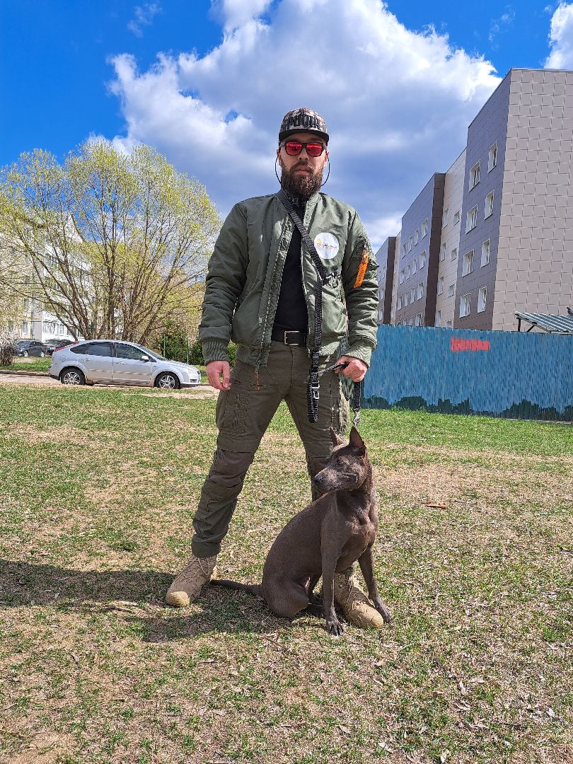 Рузский городской округ, выгул собак, животные, площадки для собак, добродел, голосование
