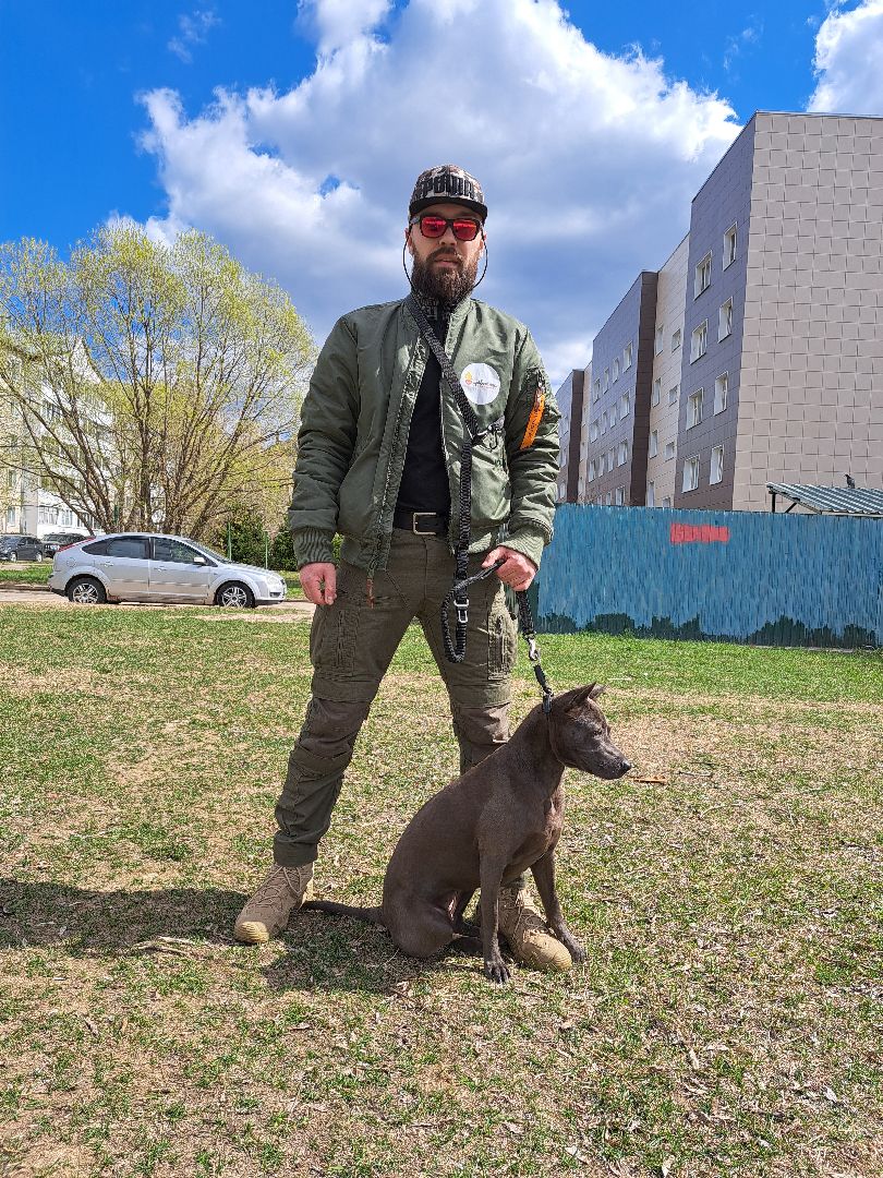 Рузский городской округ, выгул собак, животные, площадки для собак, добродел, голосование