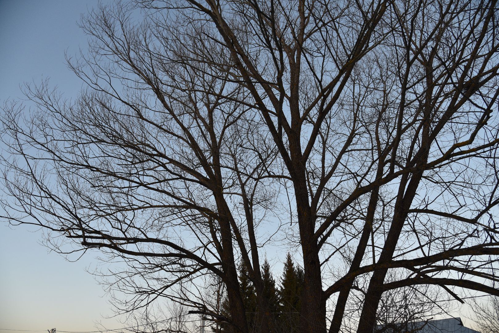 лотошино, калицино, выездная администрация, благоустройство,