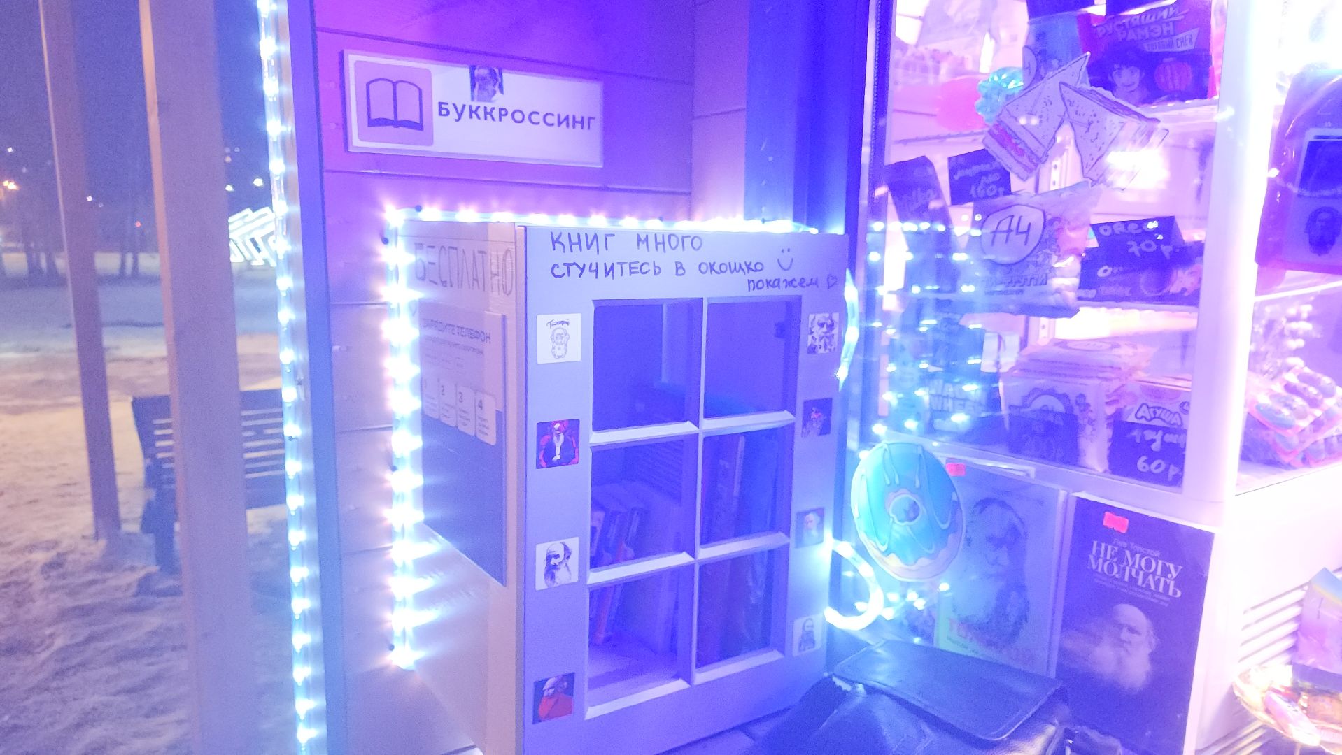 долгопрудный, центральный парк, шкаф буккроссинга, Лев Толстой, любовь к чтению, вертикалки,