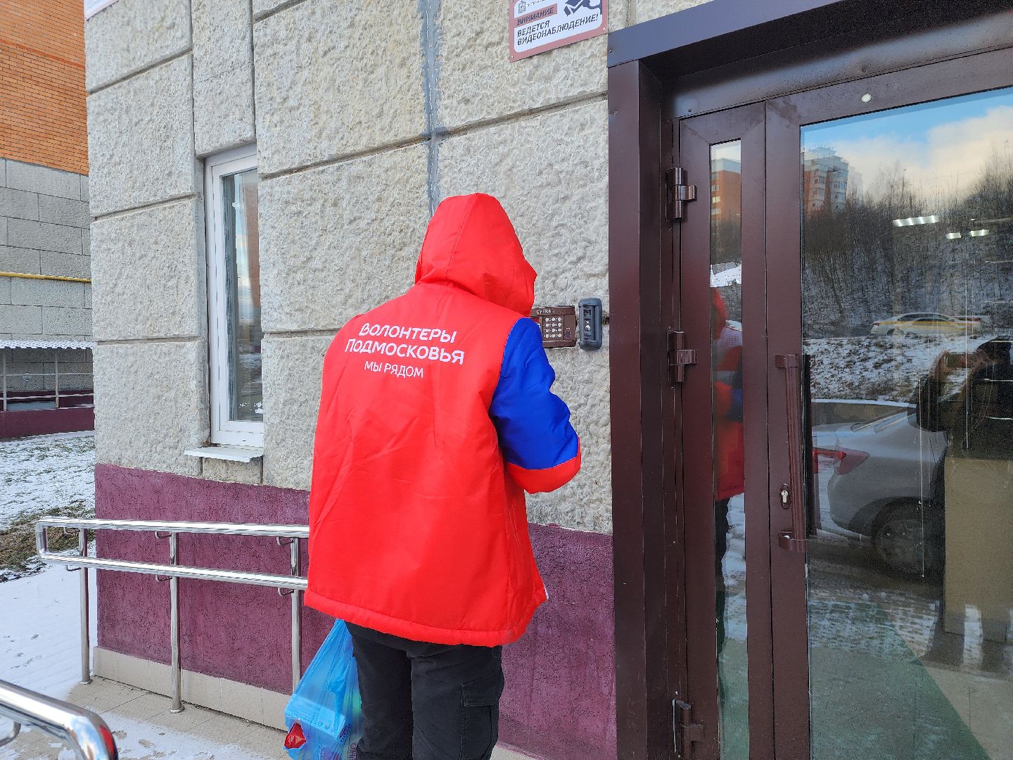 подольск, волонтеры, вертикалки,