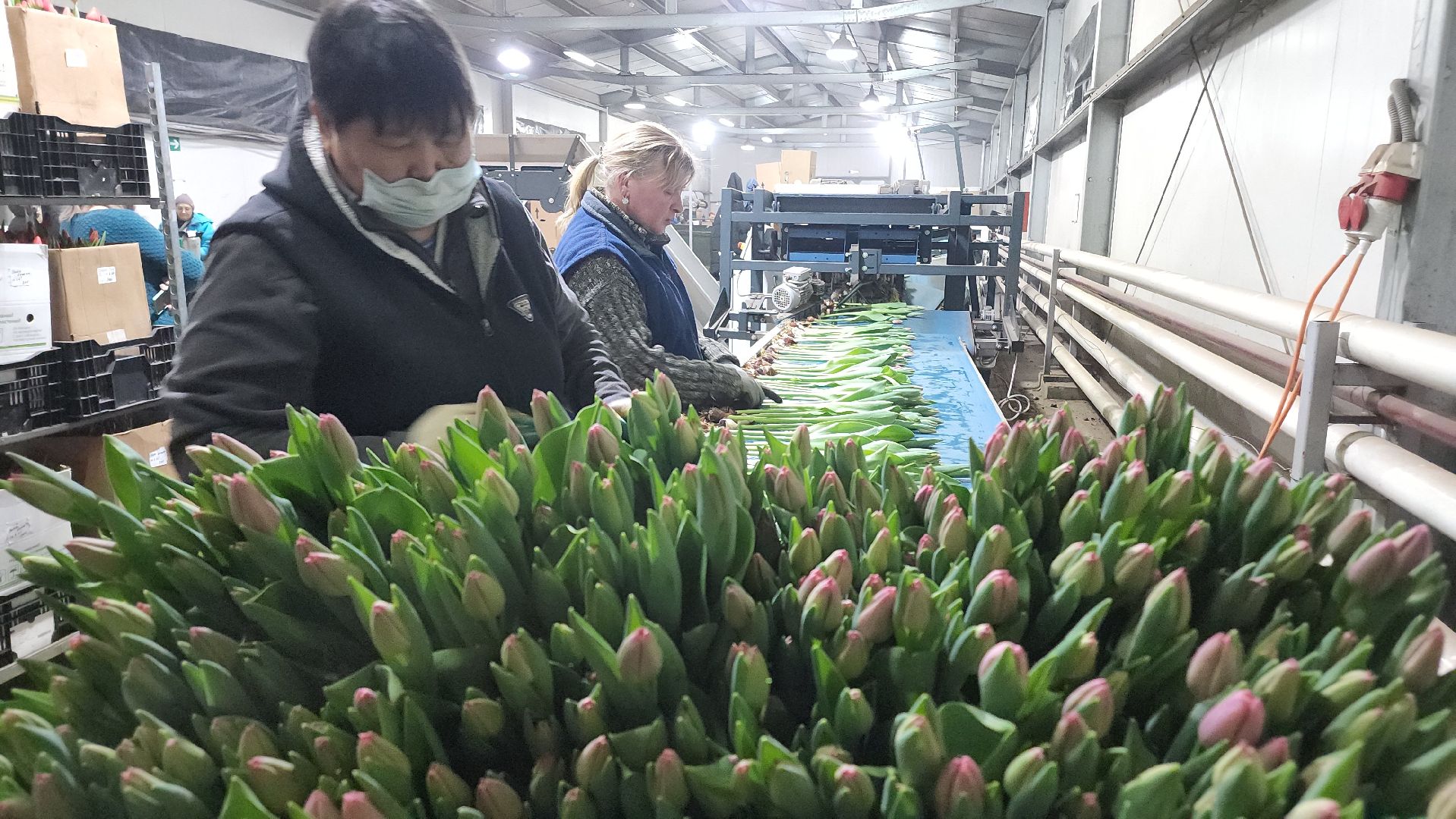 Егорьевск, Подмосковье, Московская область, вертикалки,