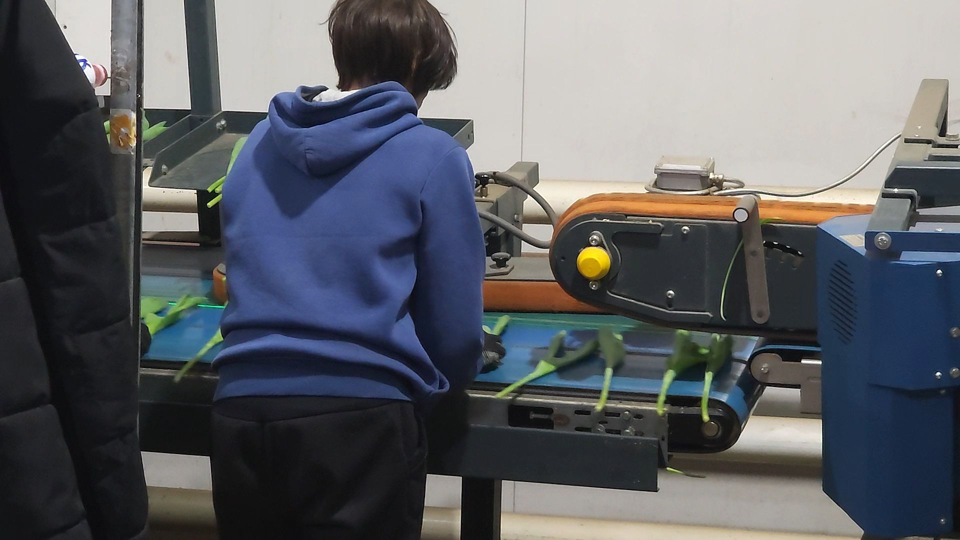 Егорьевск, Подмосковье, Московская область, вертикалки,