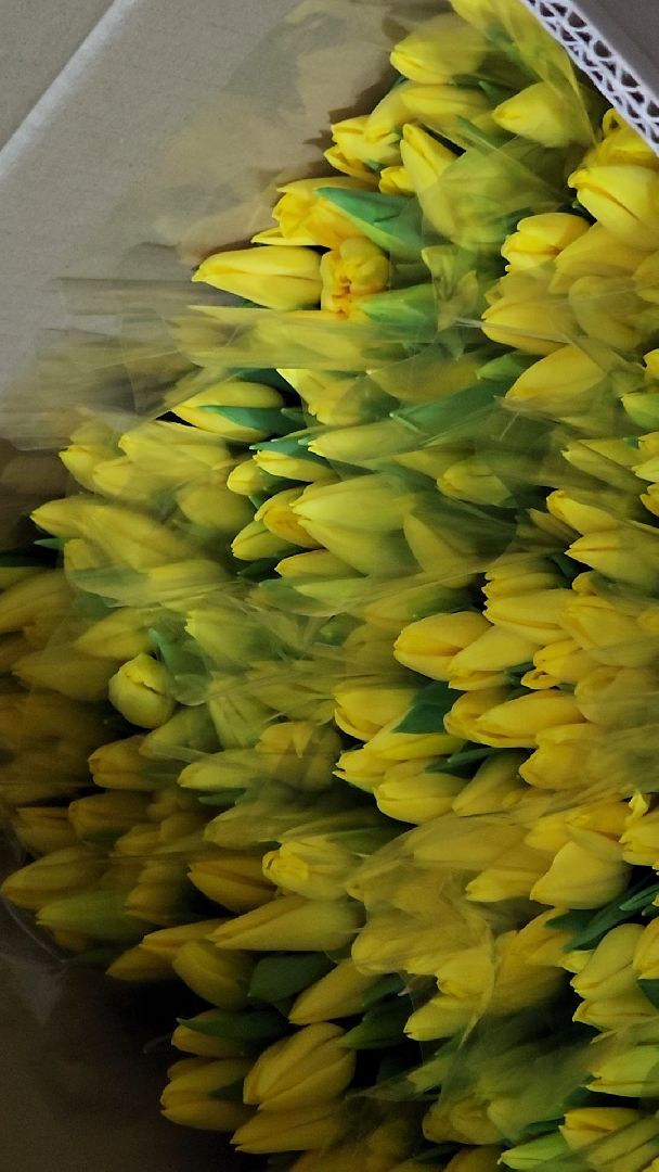 Егорьевск, Подмосковье, Московская область, вертикалки,