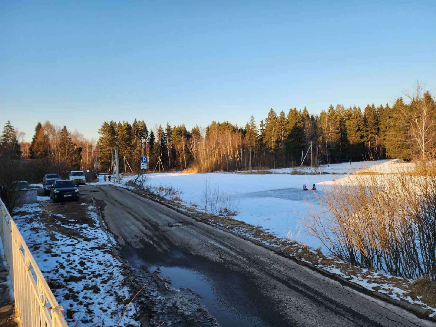 солнечногорск, выездная администрация, жители, проблемы, вертикалки,