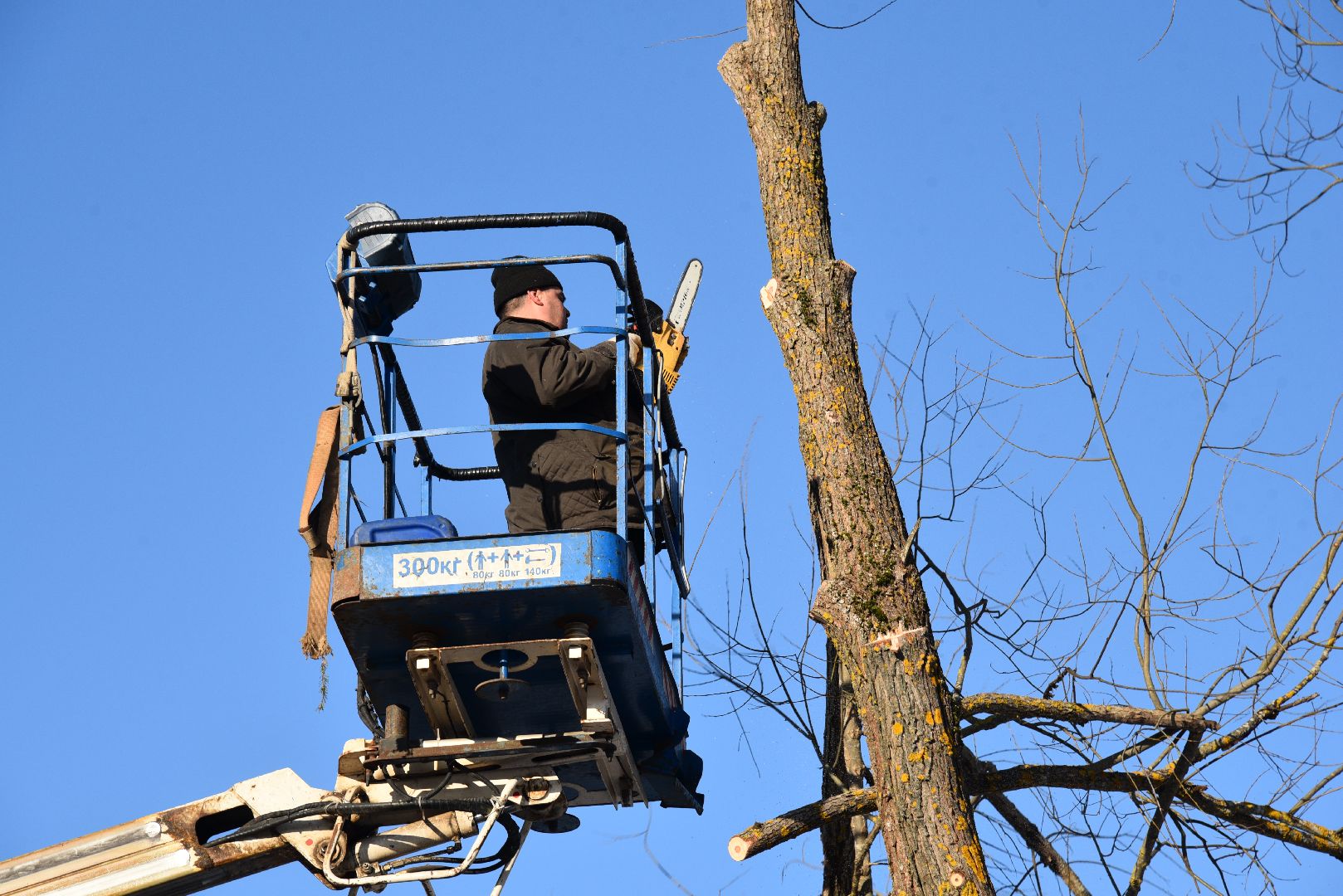 лотошино, калицино, выездная администрация, благоустройство,