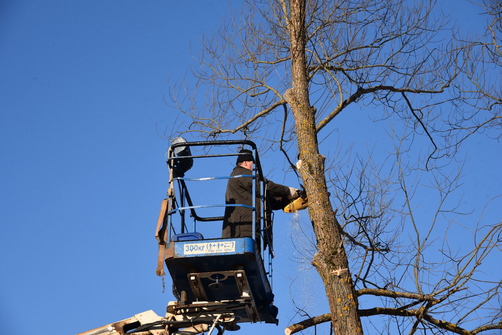 лотошино, калицино, выездная администрация, благоустройство,