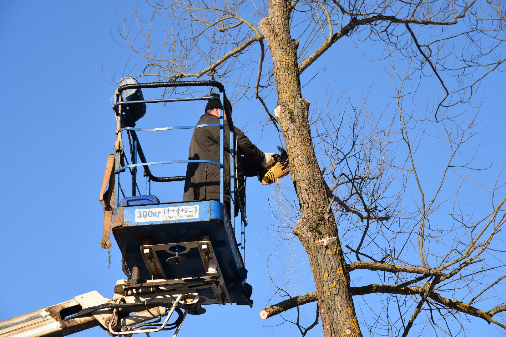 лотошино, калицино, выездная администрация, благоустройство,
