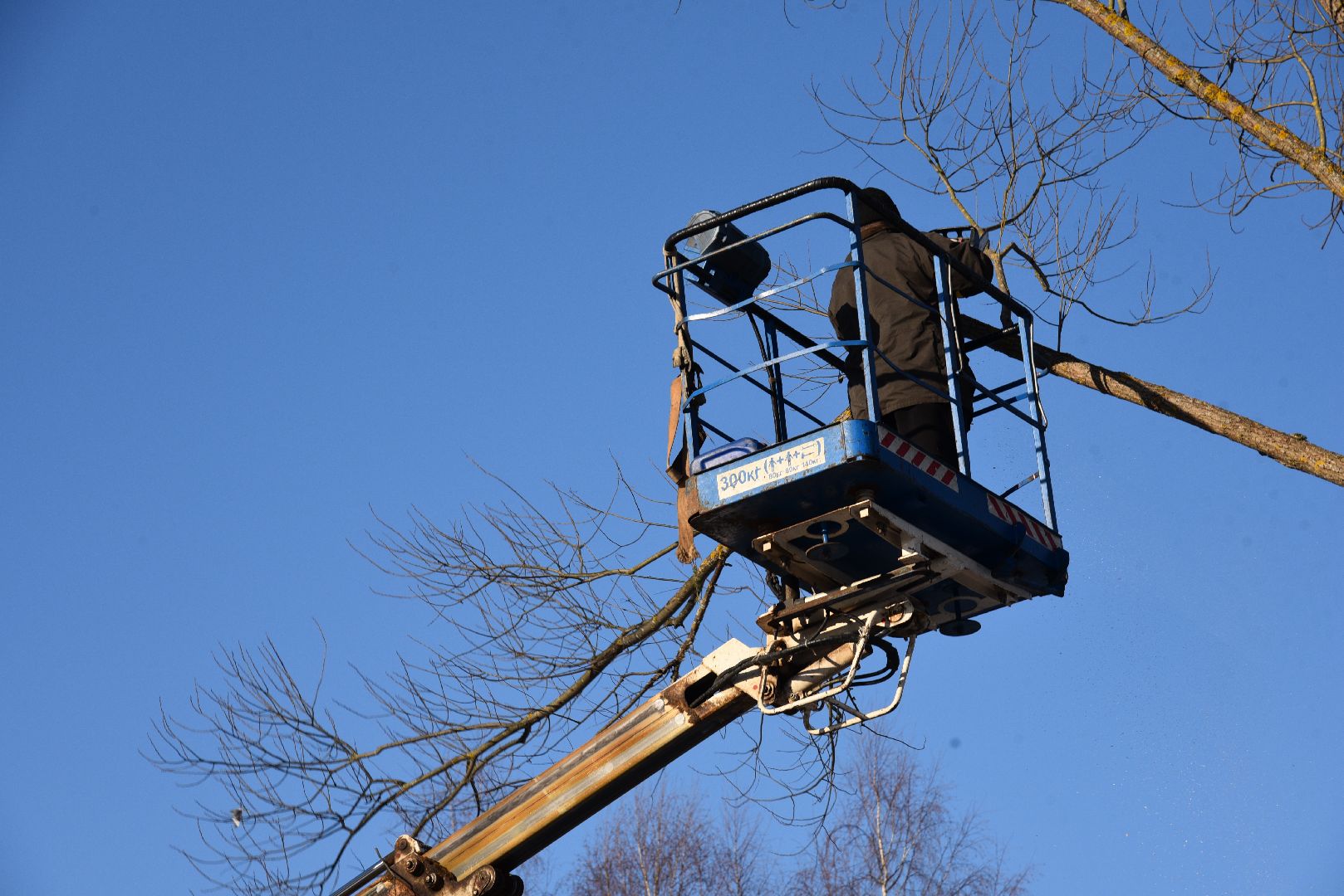 лотошино, калицино, выездная администрация, благоустройство,