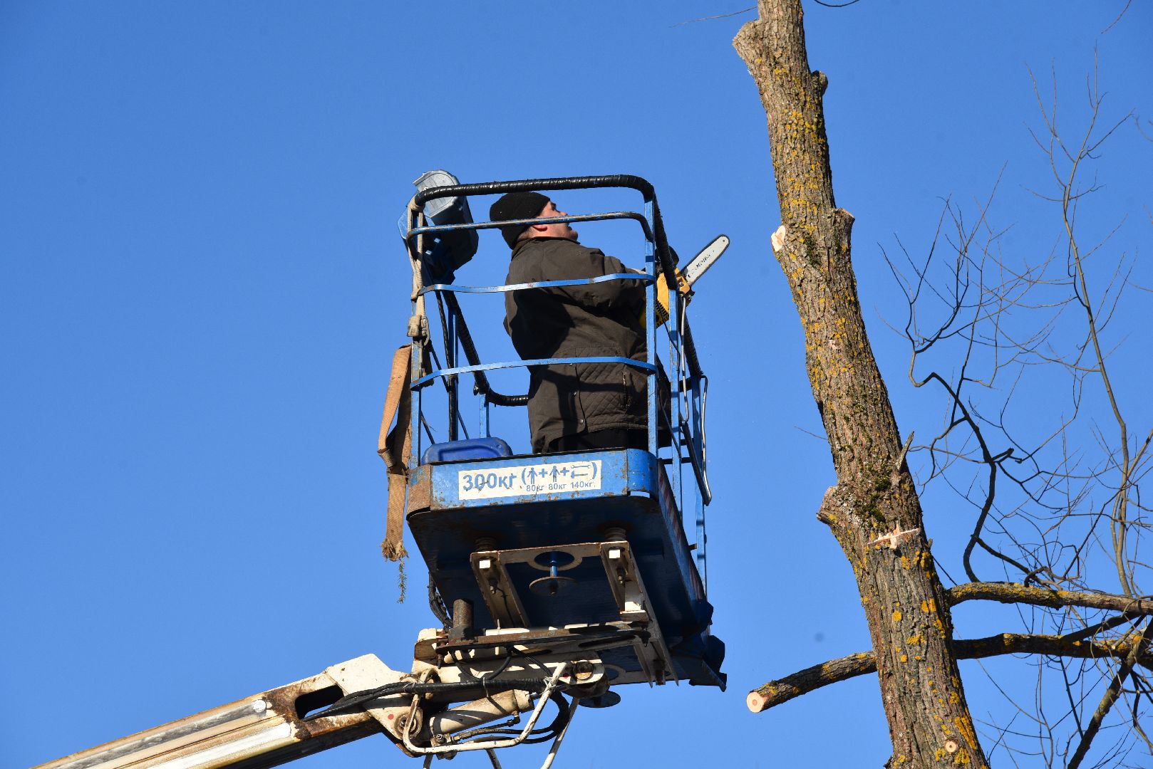 лотошино, калицино, выездная администрация, благоустройство,