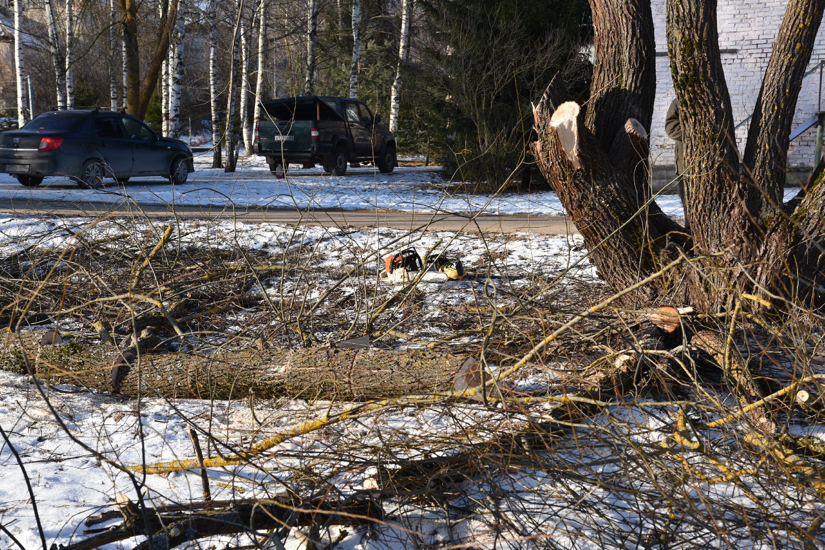 лотошино, калицино, выездная администрация, благоустройство,