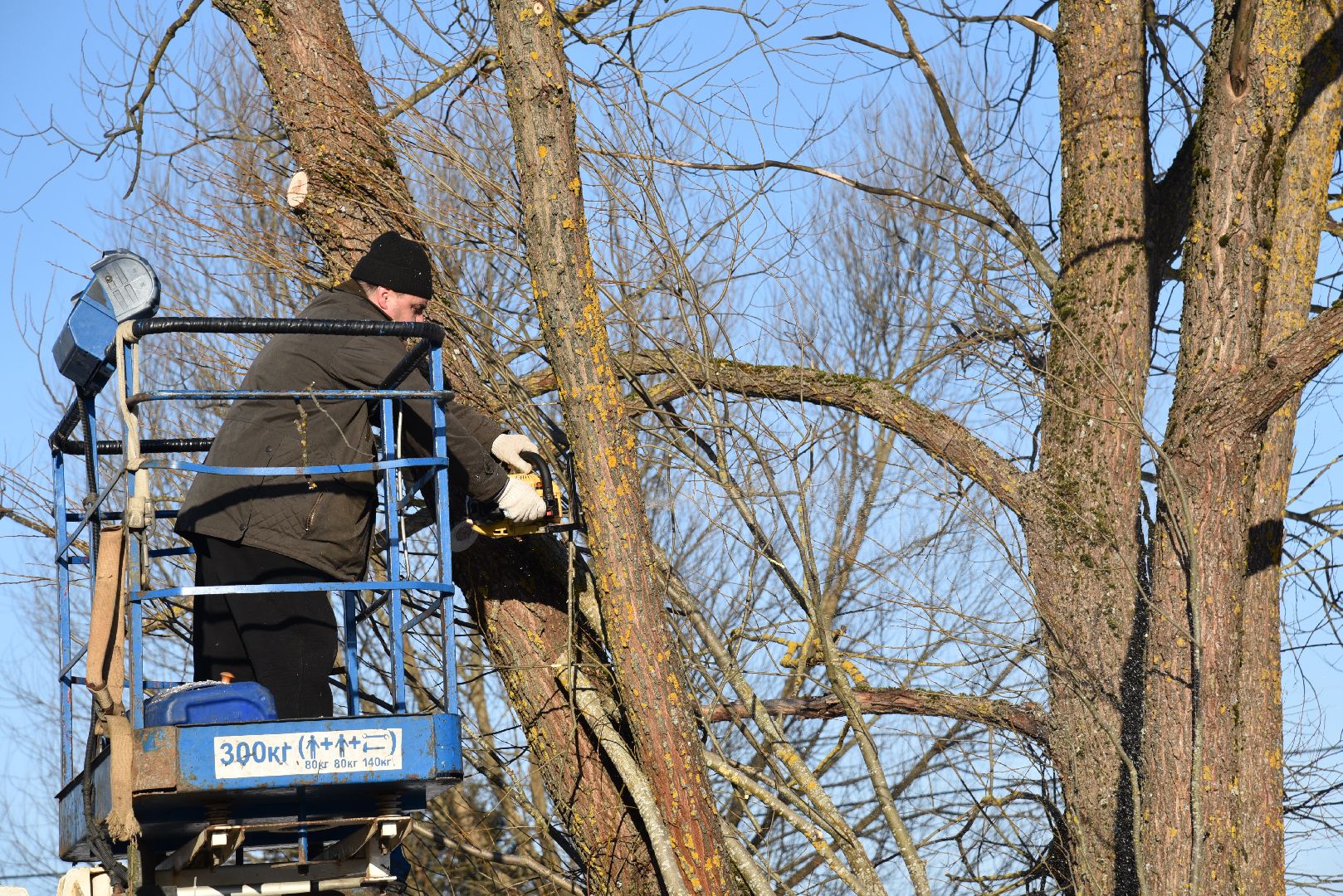 лотошино, калицино, выездная администрация, благоустройство,