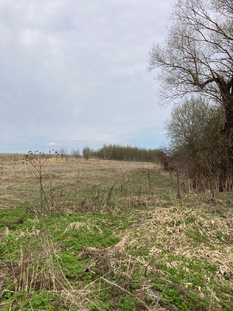 Солнечногорск, инвестиции, торги, инвестпортал, импортзамещение