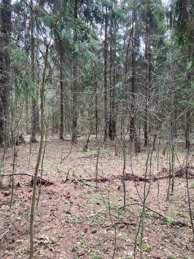 Солнечногорск, инвестиции, торги, инвестпортал, импортзамещение