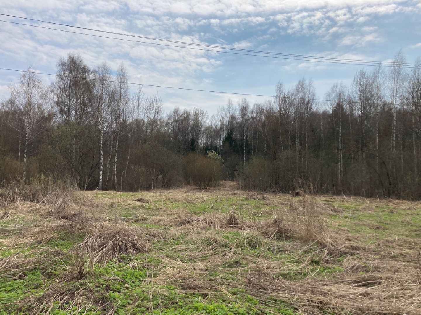 Солнечногорск, инвестиции, торги, инвестпортал, импортзамещение