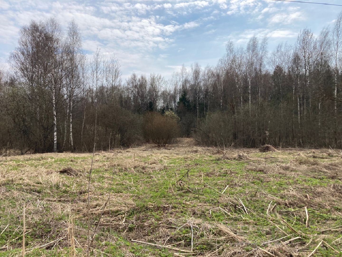 Солнечногорск, инвестиции, торги, инвестпортал, импортзамещение