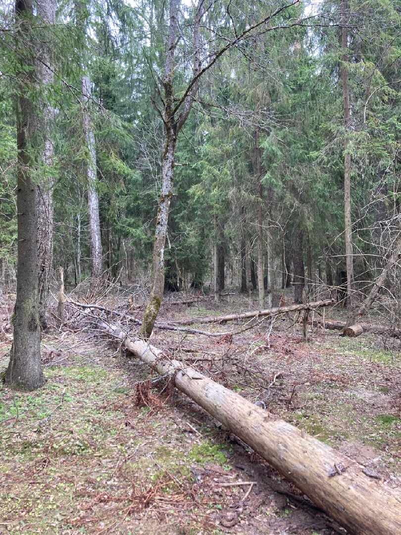 Солнечногорск, инвестиции, торги, инвестпортал, импортзамещение