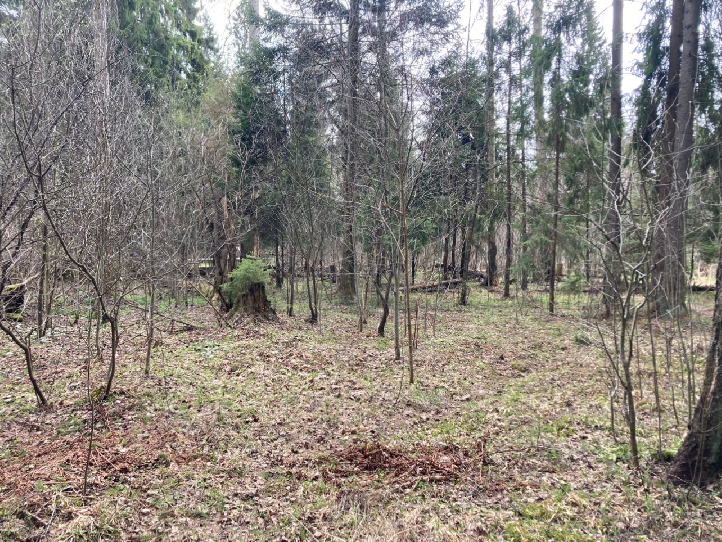 Солнечногорск, инвестиции, торги, инвестпортал, импортзамещение