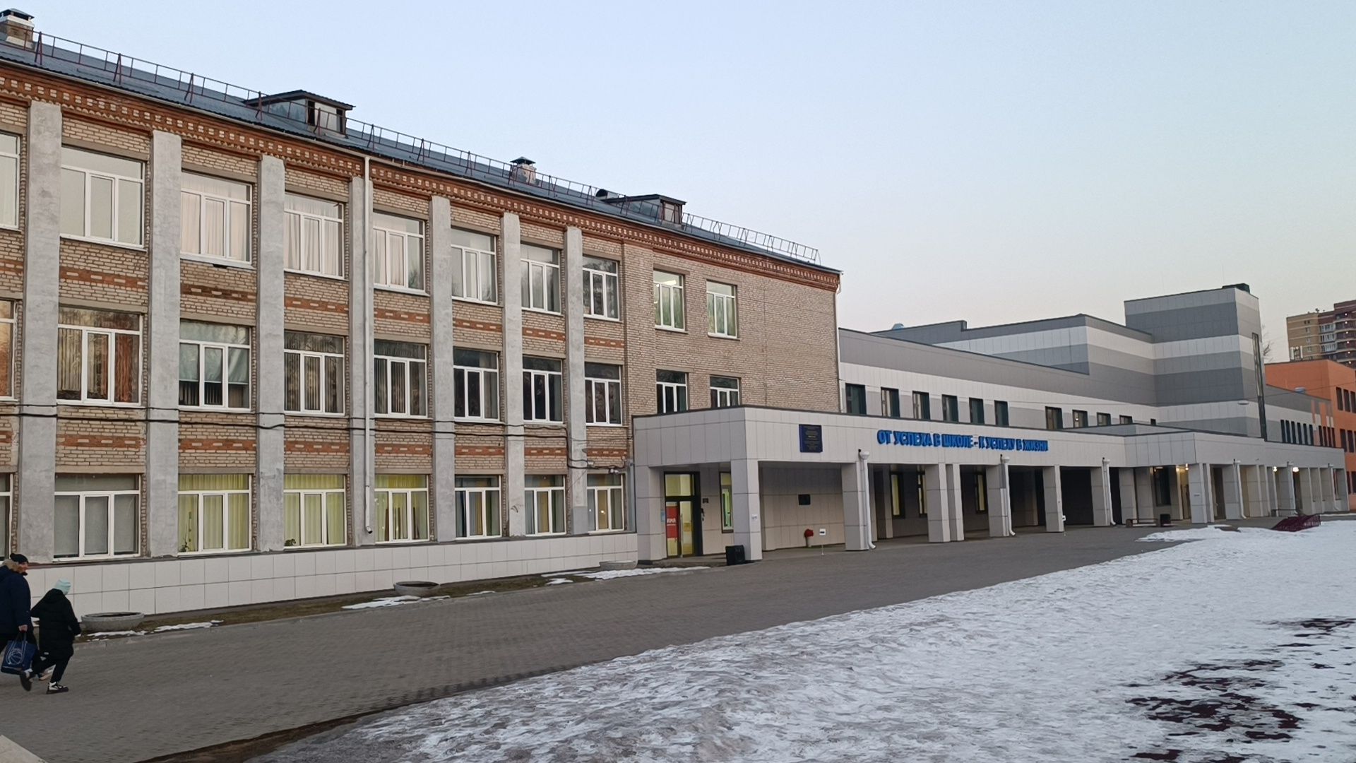 лобня, цветы, вертикалки,