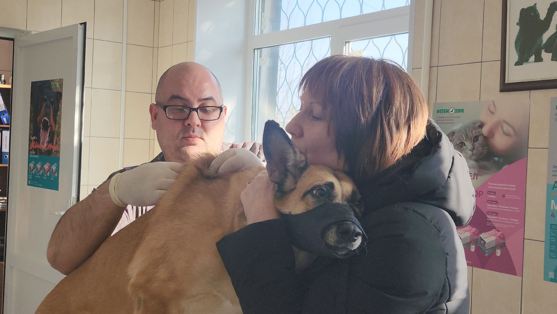 Луховицы, Регистрация собак, вертикалки