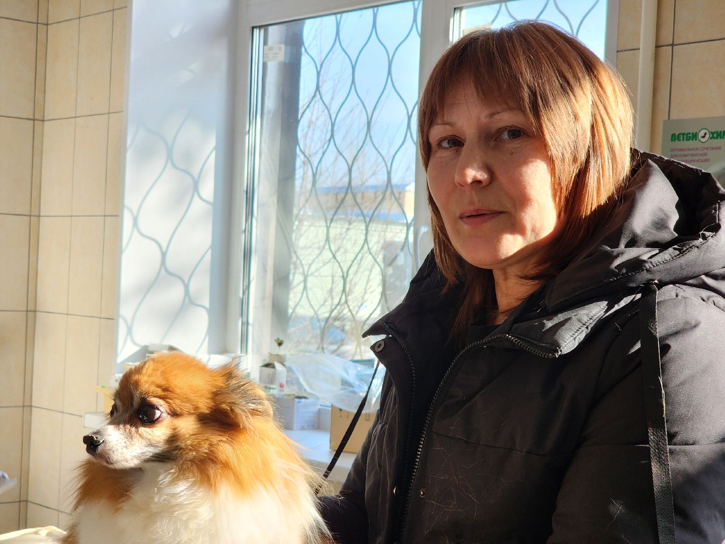 Луховицы, Регистрация собак, вертикалки