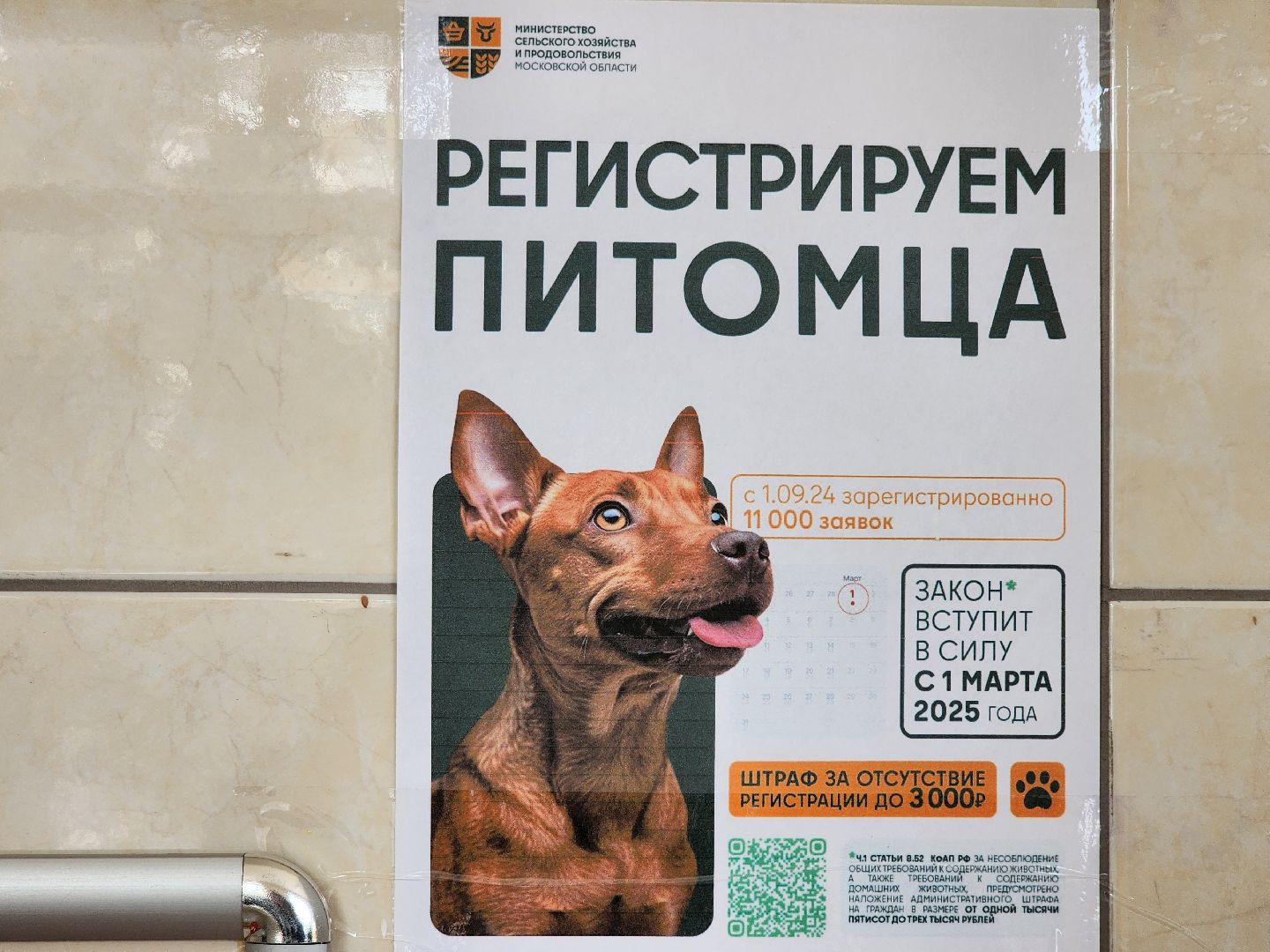 Луховицы, Регистрация собак, вертикалки