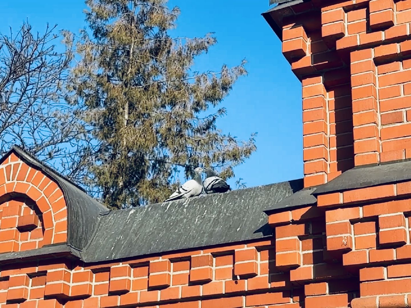 раменское, троицкий храм раменское, благоустройство,