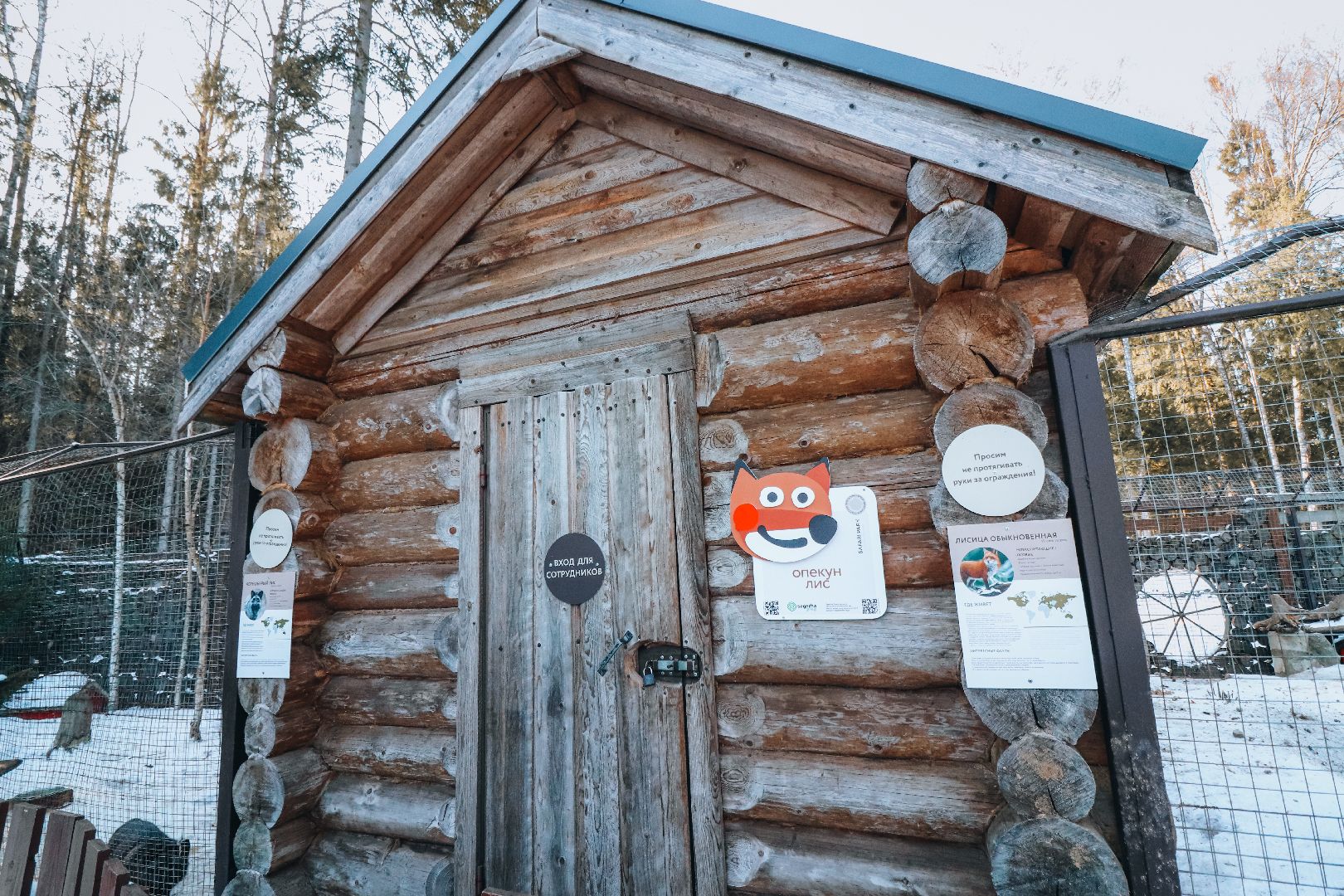 Клин, общество, животные, масленица, вертикалки,