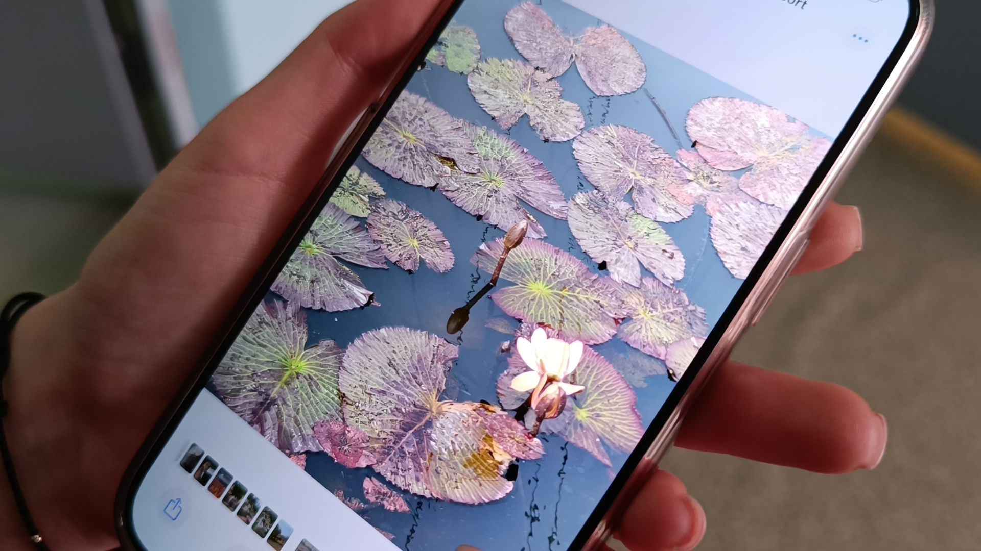 китай, лобня, образование, вертикалки,