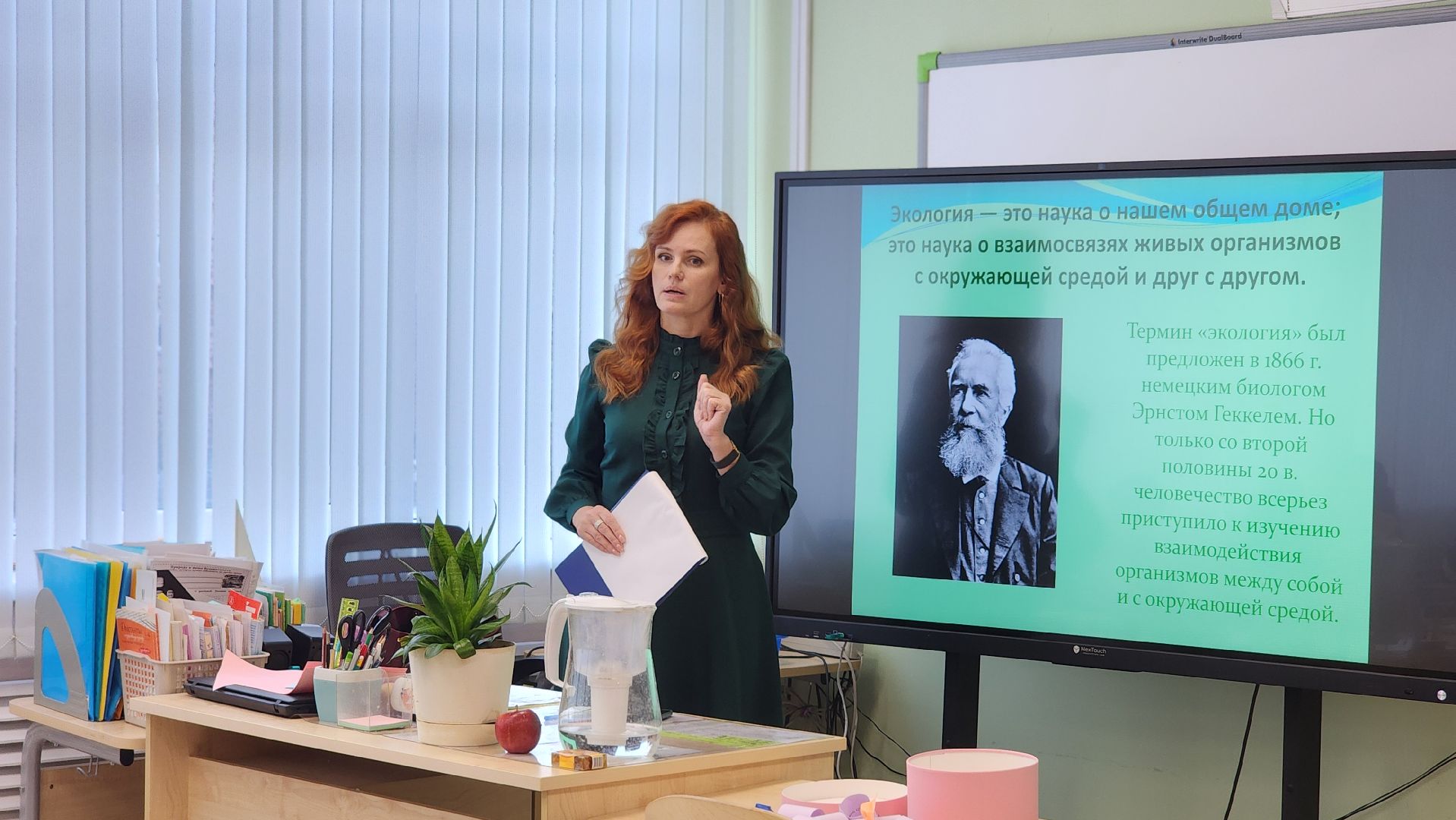 учитель, Лосино-Петровский, школа,