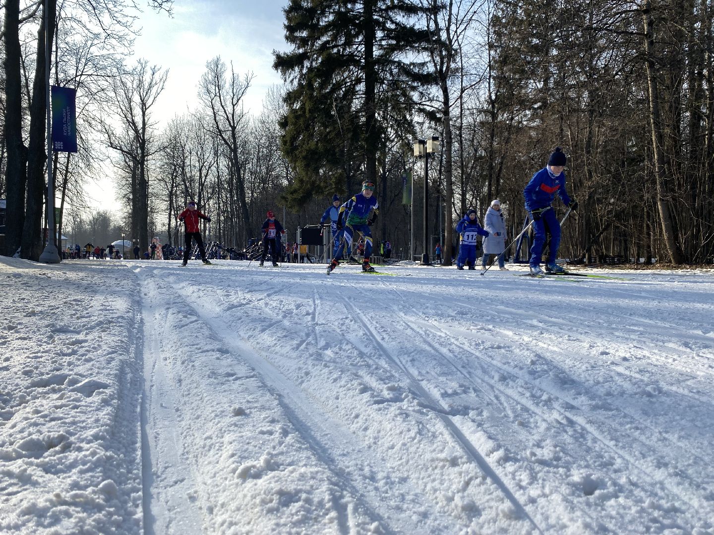 Николай лопухов, вертикалки, Лыжный спорт, Одинцово, Ларисалазутина,
